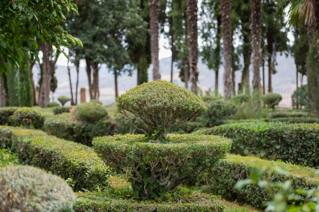 Castilla Termal Бриуэга Экстерьер фото